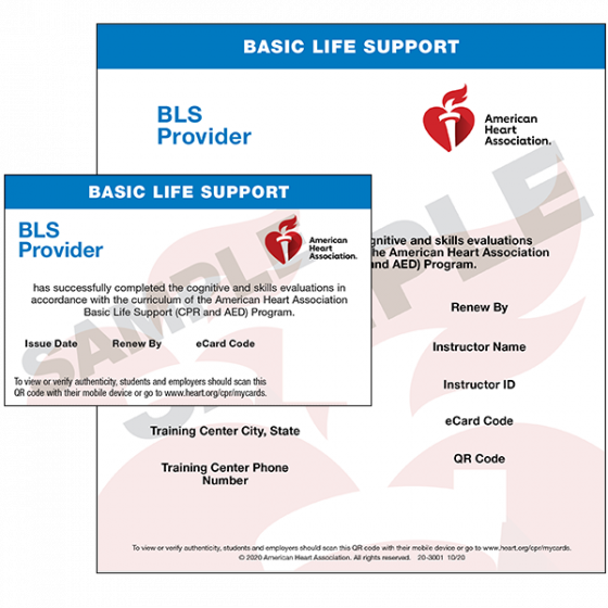 bls certification in Milpitas